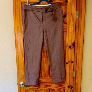 Ann Taylor Brown Women's Pants